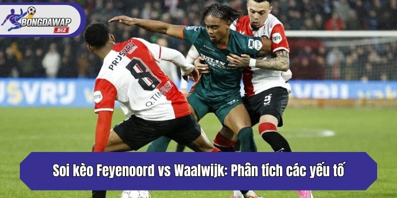 Soi kèo Feyenoord vs Waalwijk: Phân tích các yếu tố